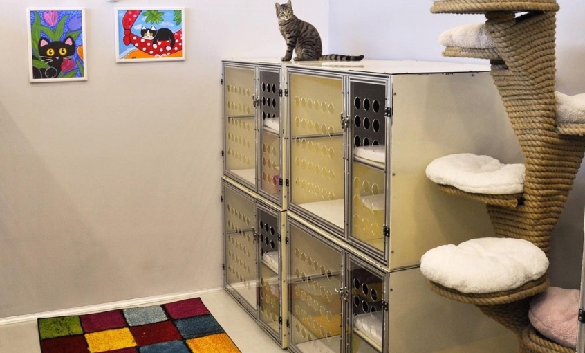 Airpet Hotel