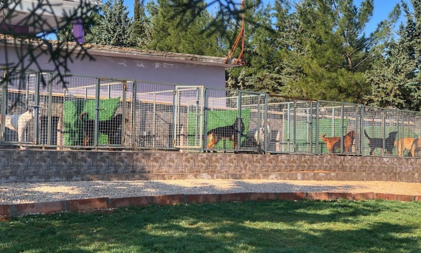Miyahav Pet Otel
