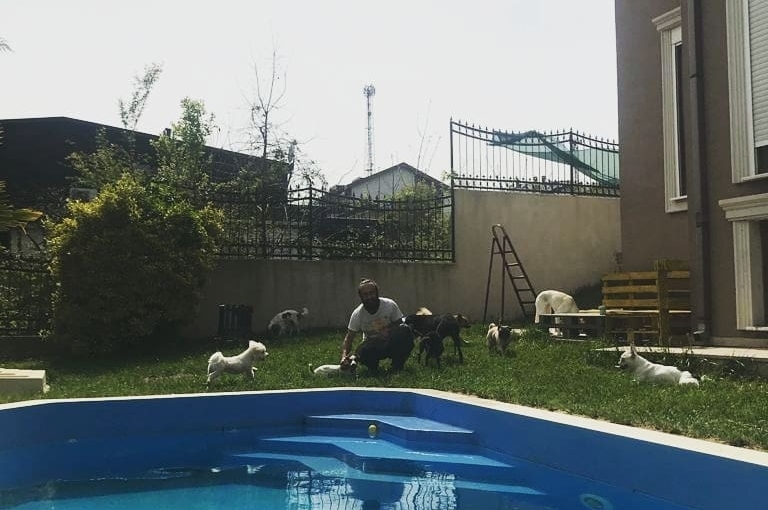 Best Friends Köpek ve Kedi Oteli