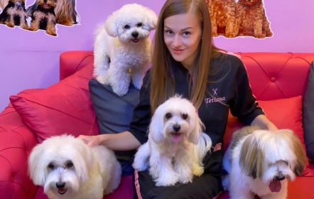 Glamour Pet Kuaför