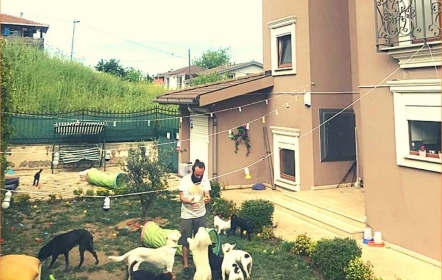Best Friends Köpek ve Kedi Oteli