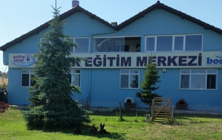 Active Kennel