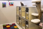 Airpet Hotel