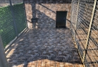 Miyahav Pet Otel