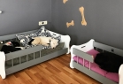 Jordanpack Köpek Oteli